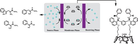 Figure 1 from Calixarene-based receptors for molecular recognition | Semantic Scholar