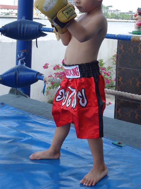 Boxing Shorts Satin for Kid's Childrens Muay Thai Fighting Kickboxing ...