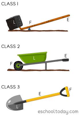 What is a Lever as a simple machine? – Eschooltoday