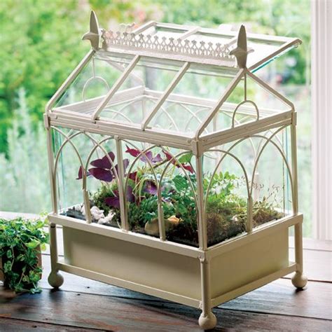 Tabletop greenhouse | Indoor garden, Greenhouse farming, Garden projects