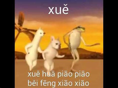 Xue huā piāo piāo yi jian mei - Meme (Llama, dog, frog dancing)(Llama ...