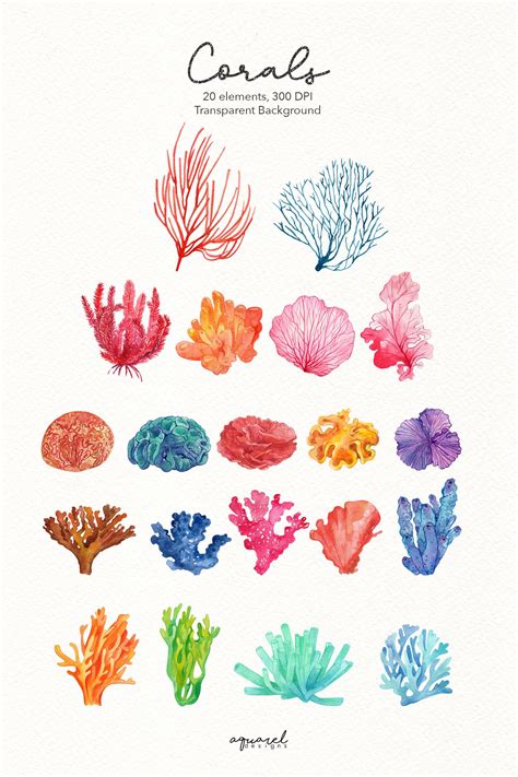 Watercolor Coral Reef Clipart Under the Sea Clipart Coral - Etsy in 2023 | Coral drawing ...