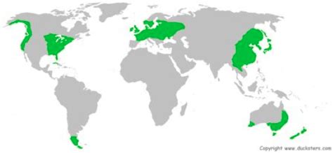 Global Biomes – GCSE Geography B Edexcel Revision – Study Rocket