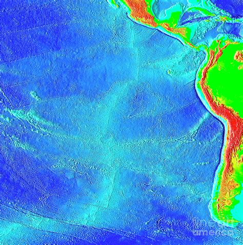 East Pacific Rise Photograph by Noaa/science Photo Library - Fine Art America