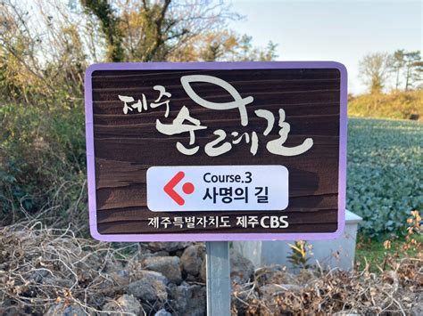 Hiking in Jeju: The Ultimate Guide – Travel World Heritage