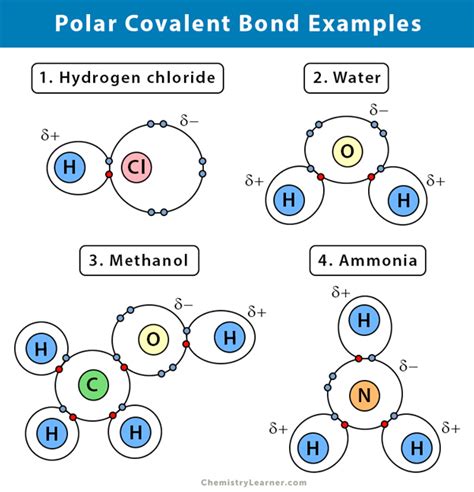 Polar Covalent Bond Structure