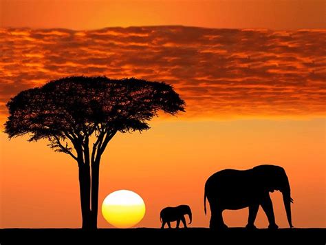 The Ultimate Two Week Travel Itinerary for Kenya And Tanzania | Johnny Africa | Africa safari ...