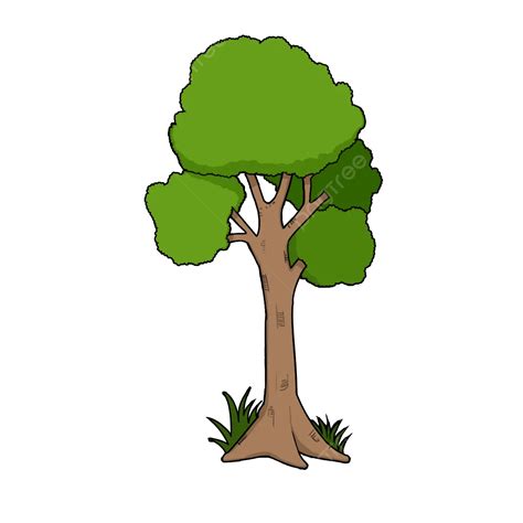 Tree Vector Cartoon, Tree Vector, Tree Clipart, Tree Cartoon PNG Transparent Clipart Image and ...