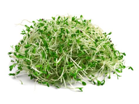 Alfalfa sprouts Nutrition Facts - Eat This Much