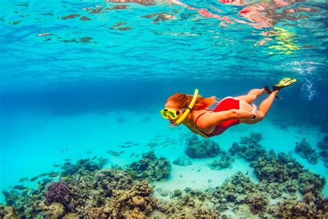 The 10 Best Snorkeling Spots In Nassau, The Bahamas | Sandals