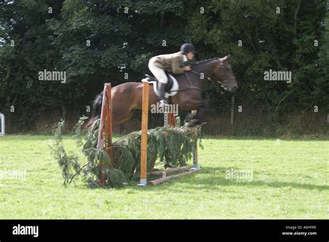 Show jumping rider contestant Stock Photo - Alamy