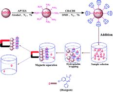 β-Cyclodextrin conjugated magnetic nanoparticles for diazepam removal from blood - Chemical ...