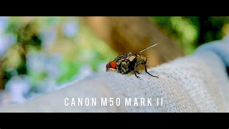 Canon M50 Mark Ii Manual