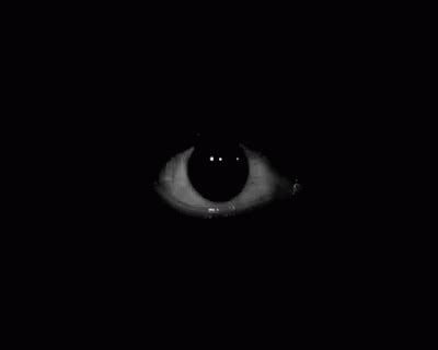 Eye Scary GIF - Eye Scary Horror - Discover & Share GIFs