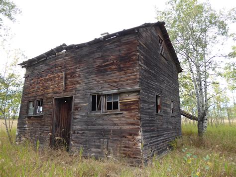 Abandoned Historic House in The Forest : urbanexploration