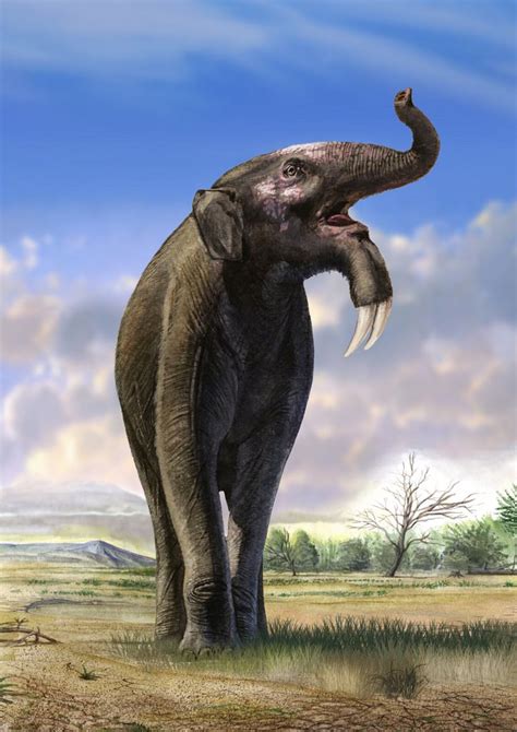 Deinotherium | Prehistoric creatures, Prehistoric, Ancient animals