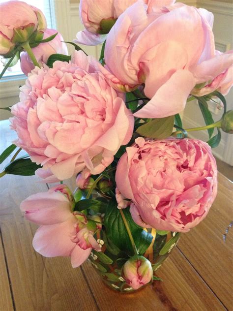 i really want the light pink peonies | Pink peonies, Peonies, Flowers