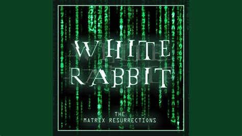 White Rabbit Matrix