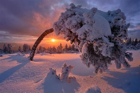 snow, Winter, Germany, Landscape, Sunlight, Nature Wallpapers HD / Desktop and Mobile Backgrounds