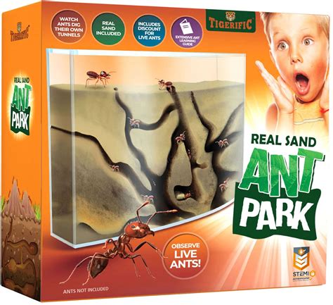 Buy Tigerific Ant Farm for Live Ants – Ant Colony for Kids. Great Science Kit for Children ...