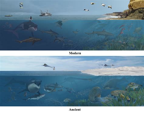 New pterosaur species identified in sub-Saharan Africa