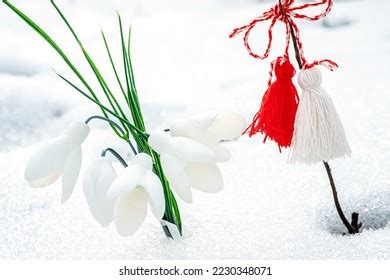 White Snowdrop Flowers Martisor Symbols Spring Stock Photo 2230348071 | Shutterstock