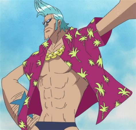 Image - Franky Anime Pre Timeskip Infobox.png - The One Piece Wiki ...