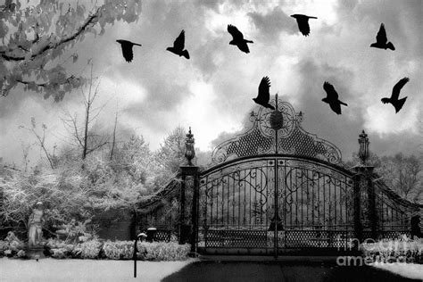 Surreal Gothic Black And White Gate With Flying Ravens Photograph by ...