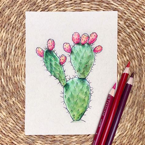 Cactus / Prickly Pear Original 4.5x6 Drawing - Etsy