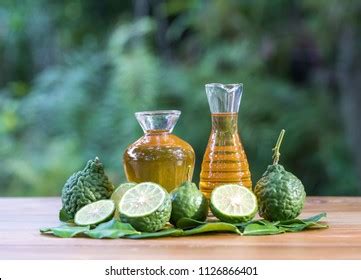 Citrus ×bergamia Images, Stock Photos & Vectors | Shutterstock