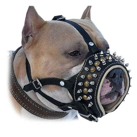 Purchase Soft Padded Leather Dog Muzzle | Bulldog Muzzles