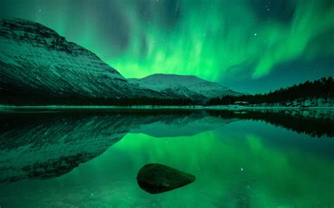 Norway Northern Lights Tour Tromso | Shelly Lighting