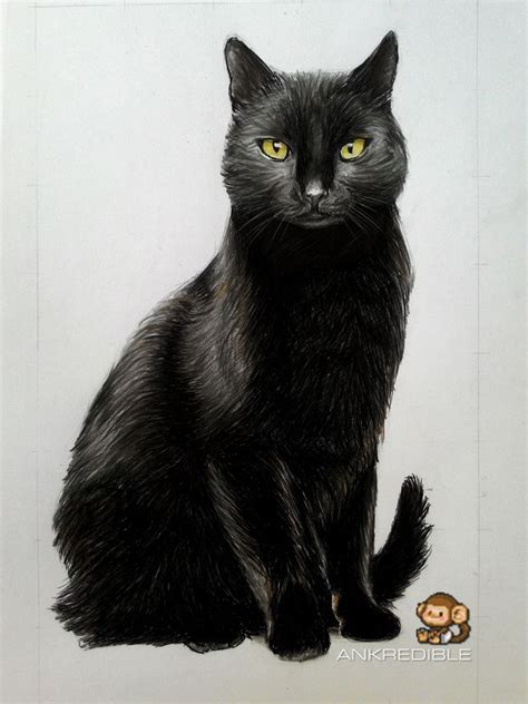 Cat (Color Pencil Drawing) by Ankredible on DeviantArt | Black cat drawing, Cat furry, Cat colors