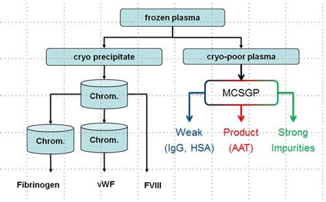 Purification of proteins from human blood plasma with MCSGP – The Morbidelli Group | ETH Zurich