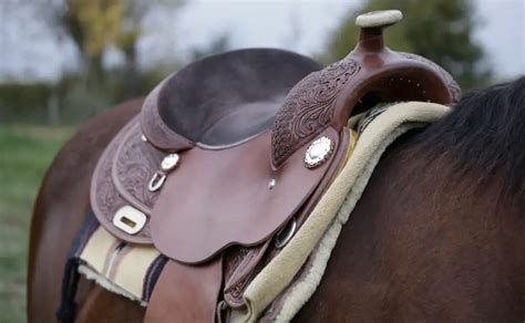 How To Clean A Leather Saddle Properly – Horse FactBook