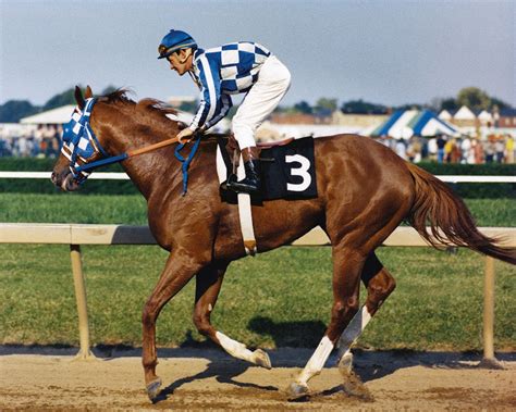 Secretariat with Ron Turcotte – The Tony Leonard Collection