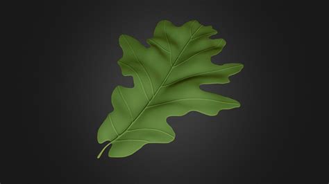 Oak Leaf Practice Sculpt - Download Free 3D model by BrageU (@besdue ...