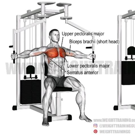 Machine Chest Fly by Thomas Mitchell - Exercise How-to - Skimble