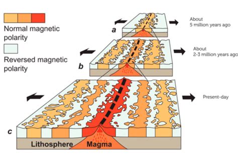 Magnetic Field Reversal | CK-12 Foundation