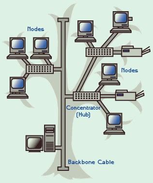 What is tree topology with example - IT Release