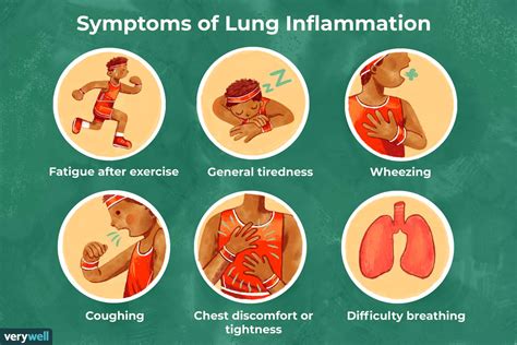 Lung Inflammation: Symptoms, Causes, Treatment, More