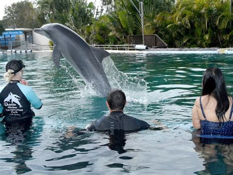 Dolphin Marine Conservation Park | Sydney, Australia - sydney.com