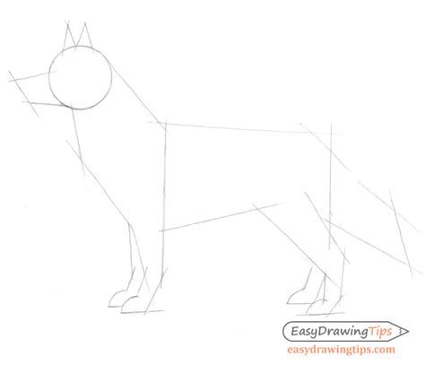 How To Draw A Dog From The Side : November 24, 2020 by antonella ...