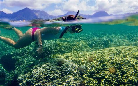 Top 10 Oahu Snorkeling Tours and Destinations - Hijinks