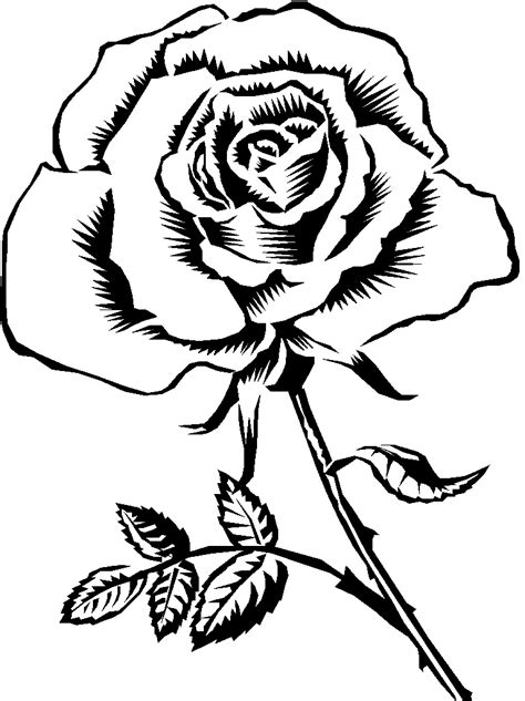 Rose black and white black rose clipart - WikiClipArt