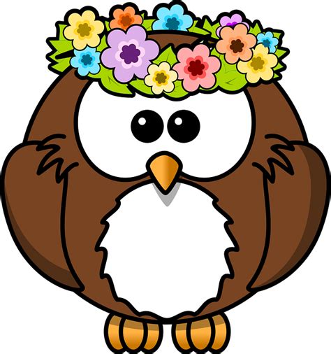 Owl Animal Bird · Free vector graphic on Pixabay