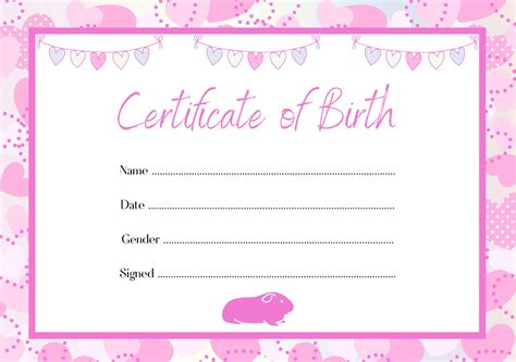 Guinea Pig Birth Certificate Printable PDF A4 Download Instant Print at Home Template Pink - Etsy