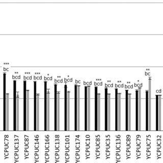 Indole-3-acetic acid (IAA) synthesis evaluated in the 23 soil yeast ...