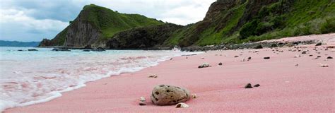 15 Stunning Pink Sand Beaches In The World To Experience