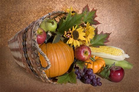 Harvest basket stock image. Image of food, fall, eating - 6470161